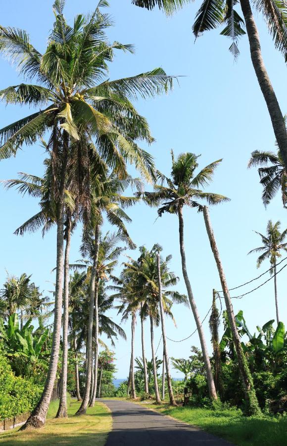 Tamu Seseh Canggu Exterior foto