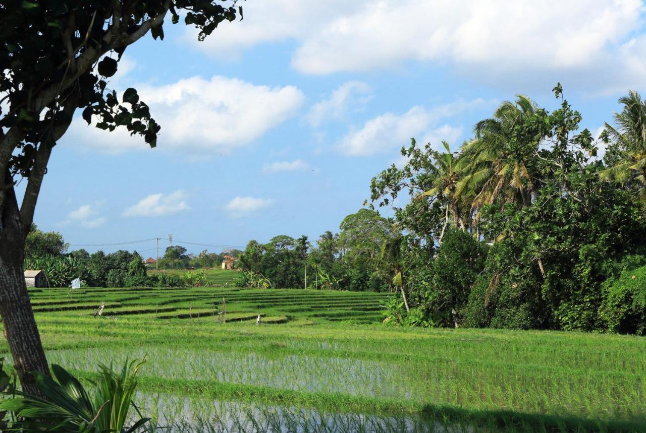 Tamu Seseh Canggu Exterior foto