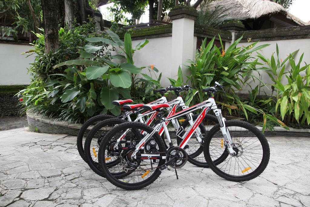 Tamu Seseh Canggu Exterior foto