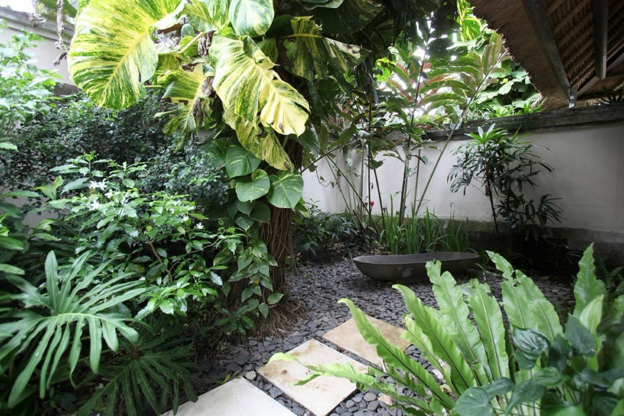 Tamu Seseh Canggu Exterior foto